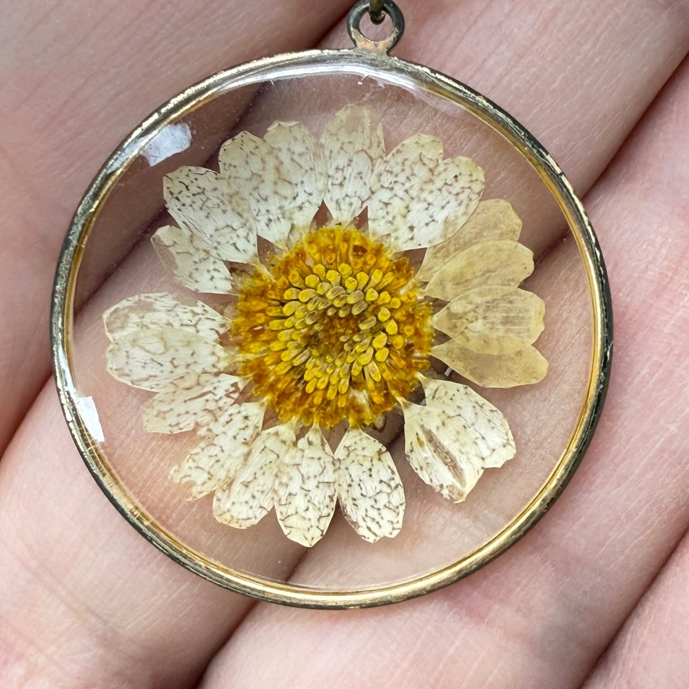 Real Dried Daisy Flower Necklace Resin Encased Pendant Gold Tone Chain